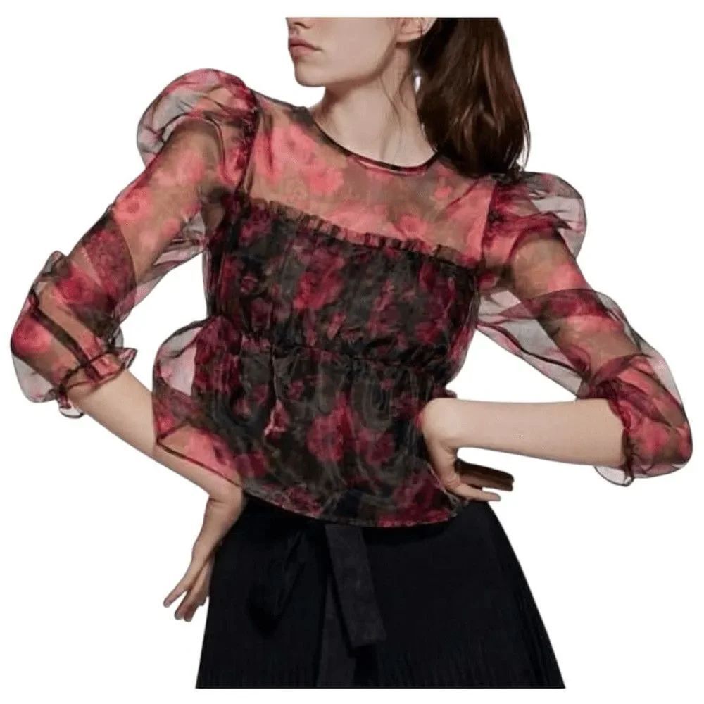 Zara Floral Sheer Organza Cropped Top Size Medium Whimsical Fairy Puff Sleeves